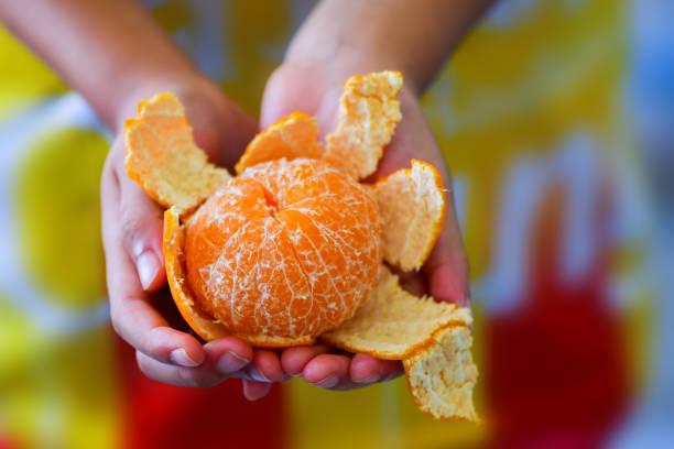 istock little girl holding orange fruit in her hand, 1407653932