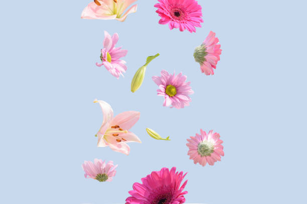 istock Flowers levitating on a pastel blue background. 1407654028