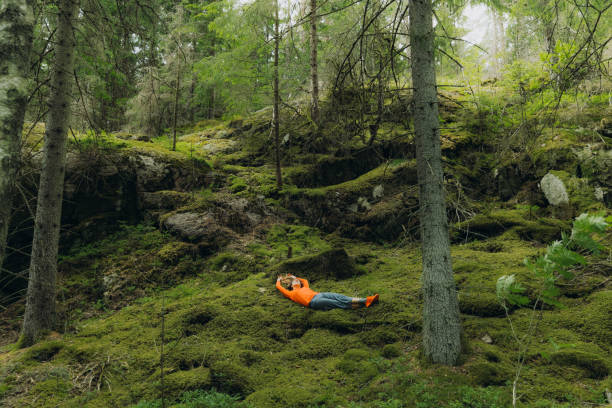 mujer contemplando la naturaleza de suecia relajándose en musgo en el bosque - resting place fotografías e imágenes de stock