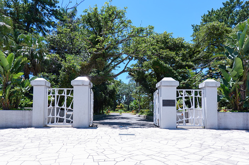 On a sunny day in June 2022, in the Qingdao district of Miyazaki City, Miyazaki Prefecture, Miyako Botanic Garden Qingdao, which is full of tropical mood, Miyazaki Prefectural Qingdao Subtropical Botanical Garden (free admission)