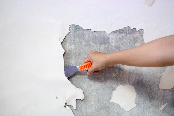Removing old paint from the old wall by hand with a metal spatula. Painting Preparation at home. Removing old paint from the old wall by hand with a metal spatula. Painting Preparation at home scraping stock pictures, royalty-free photos & images