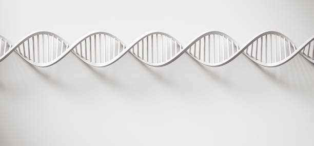 dna-helix-struktur, wissenschaft und technik hintergrund. 3d-illustration. - helix stock-fotos und bilder