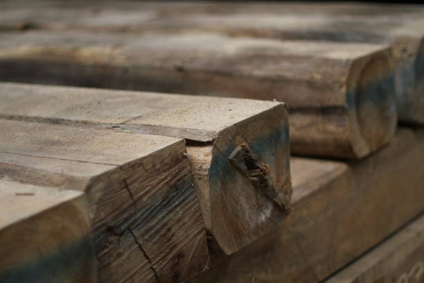 istock Raw wood for make a handmade furniture. 1407660836