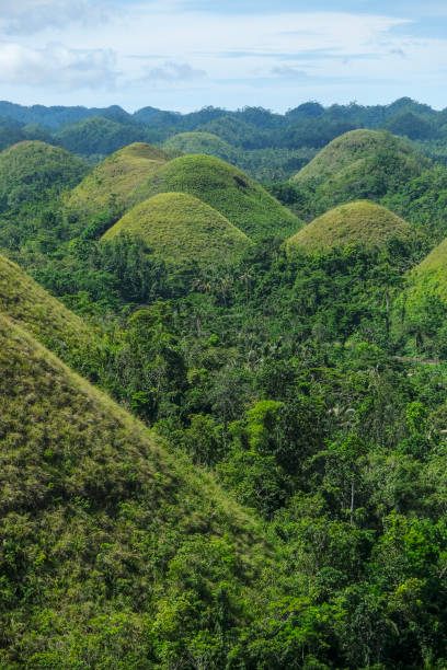 istock Chocolate Hills in Bohol, Philippines 1407661553