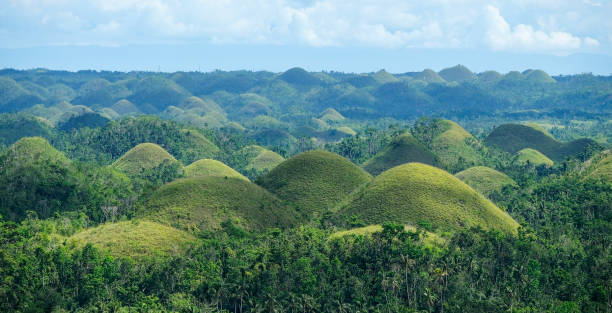 초콜릿 힐스 in 보홀, 필리핀 - bohol 뉴스 사진 이미지