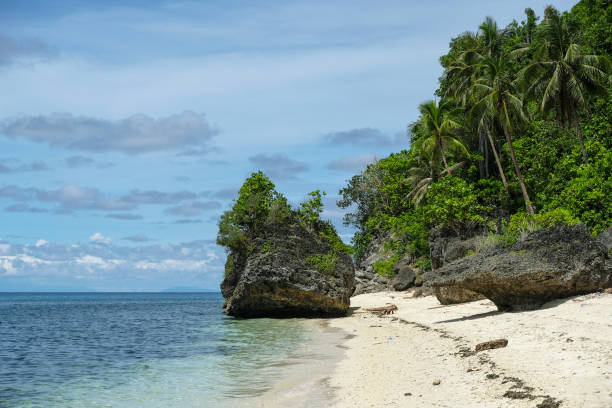 Beautiful amazing nature background. Tropical blue sun sea in Philippines. Luxury holiday resort. Island atoll about coral reef. Fresh freedom. Adventure sunset. Snorkel. Coconut paradise. Wooden boat.