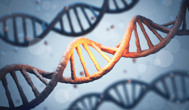 istock dna Structure Concept of biochemistry Medical science background. 3d rendering 1407664389
