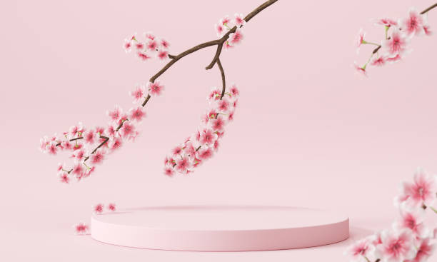 istock minimal abstract background, podium display with pink cherry bossom background for product presentation. 3d rendering. 1407665182