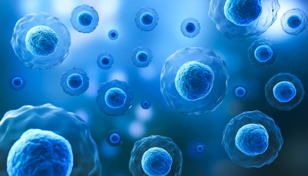 istock 3d rendering of Human cell or Embryonic stem cell microscope background. 1407665219