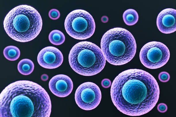 istock 3d rendering of Human cell or Embryonic stem cell microscope background. 1407666786