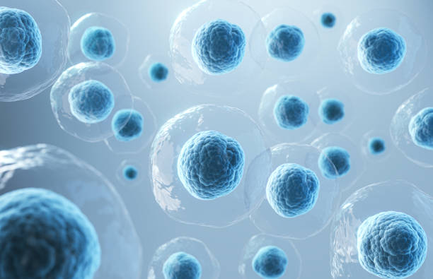representación 3d de células humanas o fondo de microscopio de células madre embrionarias. - dna genetic research medicine therapy fotografías e imágenes de stock