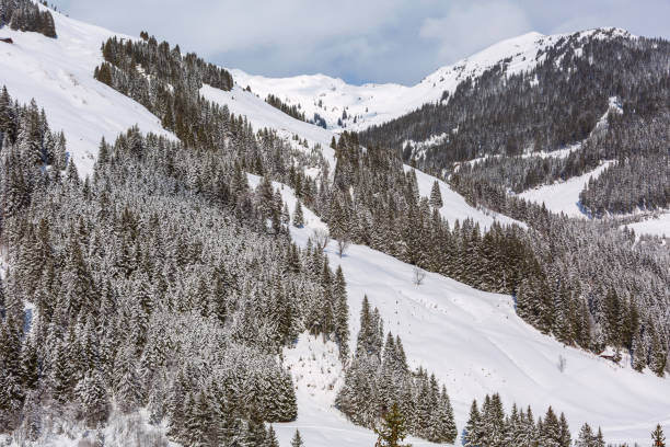 istock Snow panorama, winter Alps mountains 1407668387