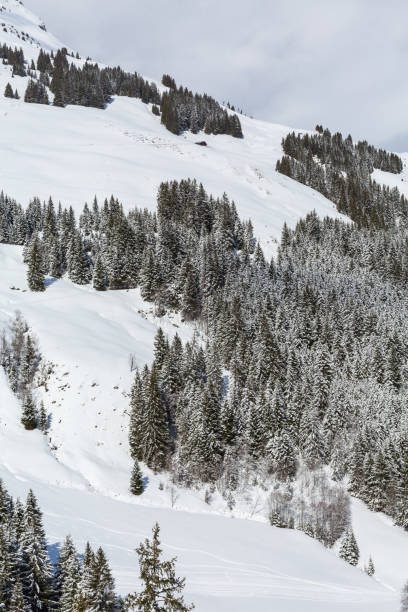 istock Off ski slope terrain, winter Alps mountains 1407668413