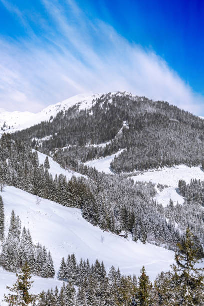 istock Off ski slope terrain, Austrian Alps mountains 1407668427