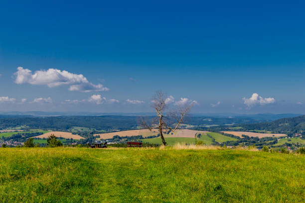 istock Summer discovery tour through the Thuringian Forest near Steinbach-Hallenberg 1407670037