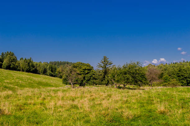istock Summer discovery tour through the Thuringian Forest near Steinbach-Hallenberg 1407670087