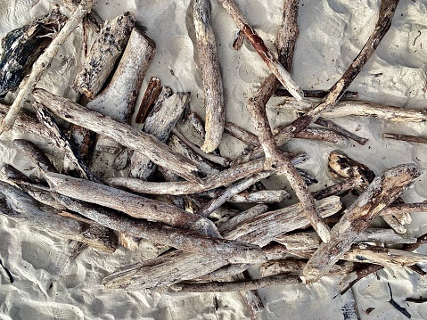 Horizontal Seascape of tree driftwood branch sticks on beach sand at Brunswick Heads near Byron Bay Area Australia
