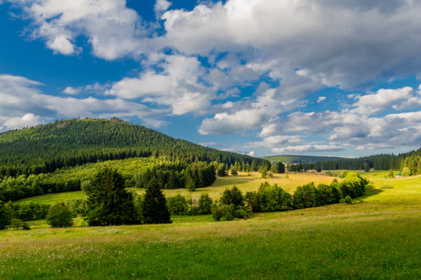 istock Summer discovery tour through the Thuringian Forest near Steinbach-Hallenberg 1407670832