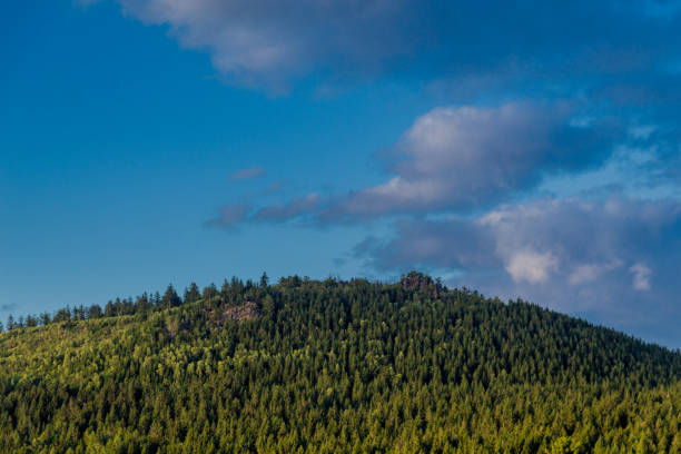istock Summer discovery tour through the Thuringian Forest near Steinbach-Hallenberg 1407670904