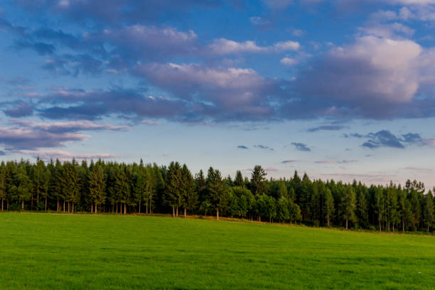 istock Summer discovery tour through the Thuringian Forest near Steinbach-Hallenberg 1407670927