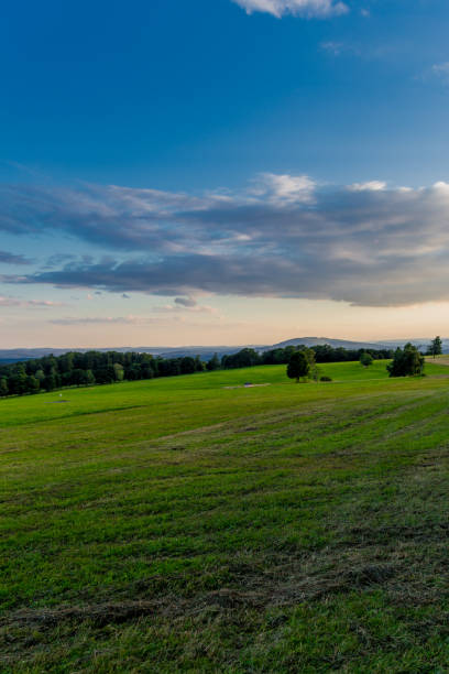 istock Summer discovery tour through the Thuringian Forest near Steinbach-Hallenberg 1407671015