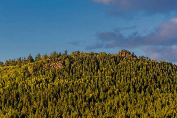 istock Summer discovery tour through the Thuringian Forest near Steinbach-Hallenberg 1407671030
