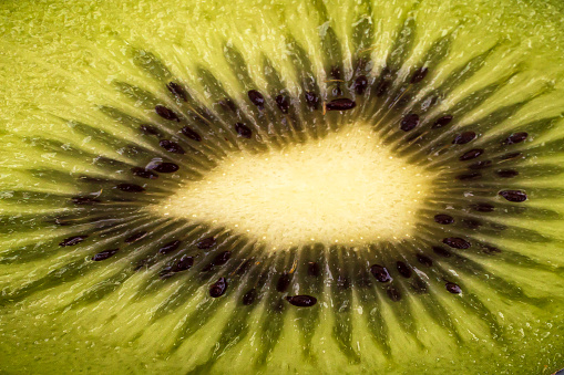 Close-up on the cross section of a kiwi fruit