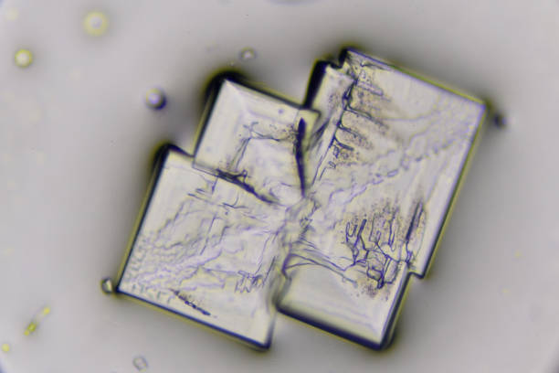 Microscopic photo of salt crystal (sodium chloride)