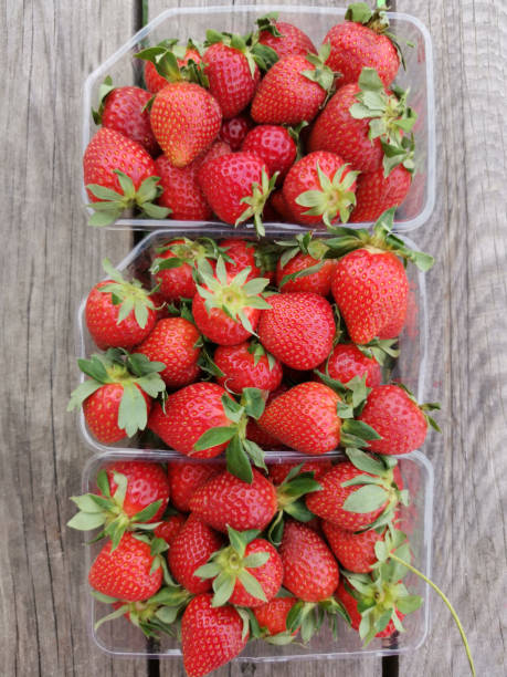 istock ripe red strawberries in plastic boxes on a wooden background 1407677854