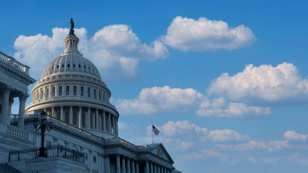 prawa głosu w usa - american politics zdjęcia i obrazy z banku zdjęć