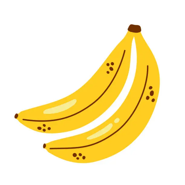 Vector illustration of Vector banana bunch. Cute bananas in flat design. Two bananas isolated on white. Tropical fruit.