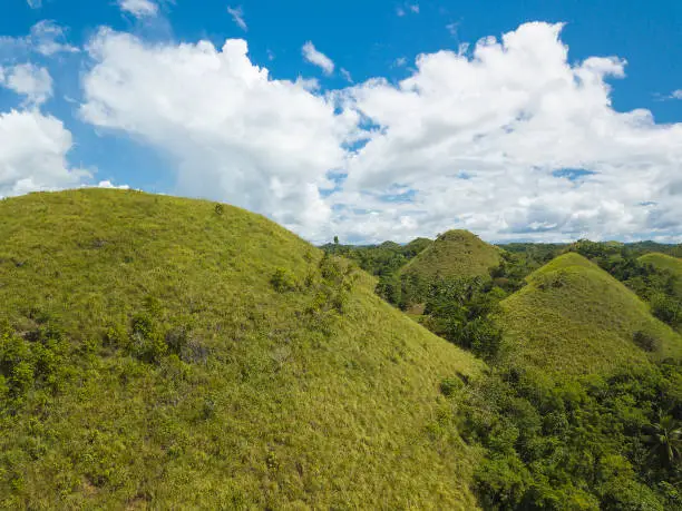 Photo of A cluster of the famed Chocolate Hills. A popular tourist spot and common sight in the town of Sagbayan, Bohol, Philippines.