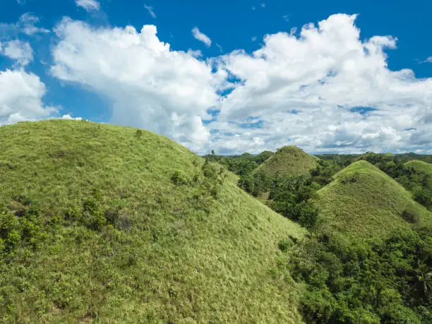 Photo of A cluster of the famed Chocolate Hills. A popular tourist spot and common sight in the town of Sagbayan, Bohol, Philippines.