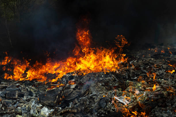 istock Fire and black smoke. Fire in landfill. Smoke in forest. Illegal landfill. 1407687321