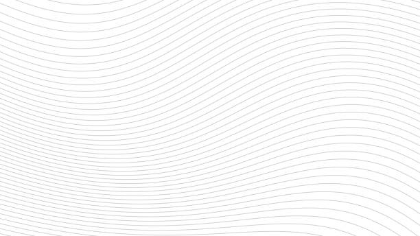 illustrations, cliparts, dessins animés et icônes de lignes ondulées fond blanc. modèle abstrait moderne de vagues et de lignes gris blanc. illustration de bandes vectorielles - à rayures