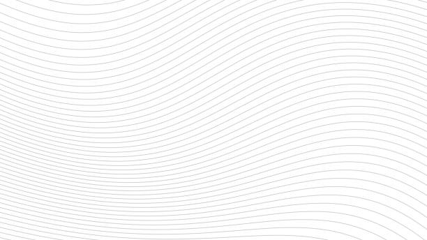 hullámos vonalak fehér háttér. absztrakt modern szürke fehér hullámok és vonalak mintája sablon. vektorcsíkok illusztrációja - egyetlen vonal témájú stock illusztrációk