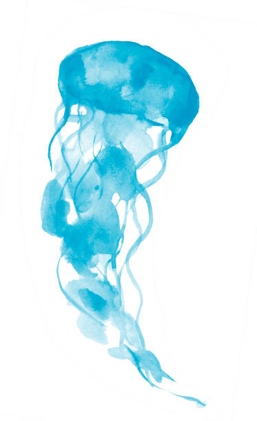 白い背景に分離された水彩画の青い紫色の縞模様のクラゲ - scyphozoa点のイラスト素材／クリップアート素材／マンガ素材／アイコン素材