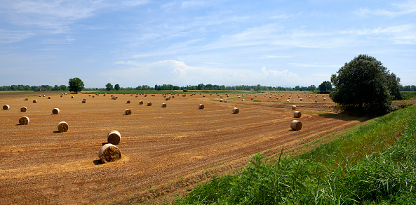 Spinadesco (Cr), Italy, a view of the floodplain of the river Po with some hay bales