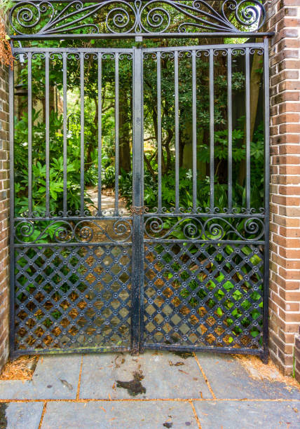 istock Charleston Scenic Walkway 2 1407694004