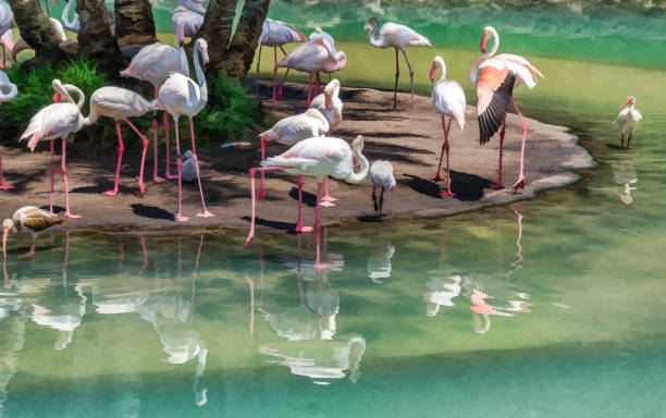 istock White Flamingoes Flock Illustration 1407694015