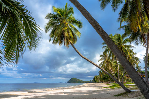 istock Beautiful tropical sea beach, Chumphon, Thailand, Jun 27, 2022. 1407695257