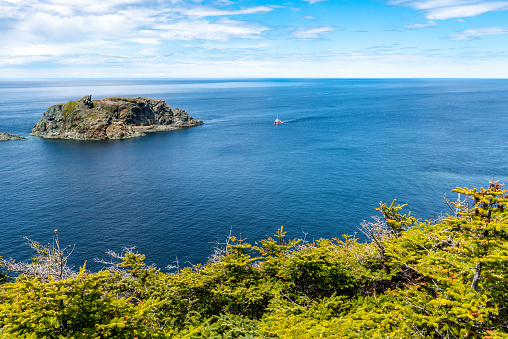 Fundy national park coastline scenic landscape cliffs sea tide out