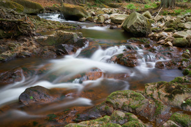the river Ilse at Ilsenburg at the foot of the Brocken in the Harz National Park