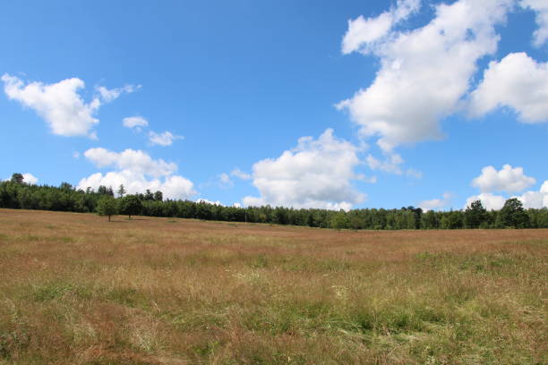 istock Hiking in the Harz Mountains 1407699116