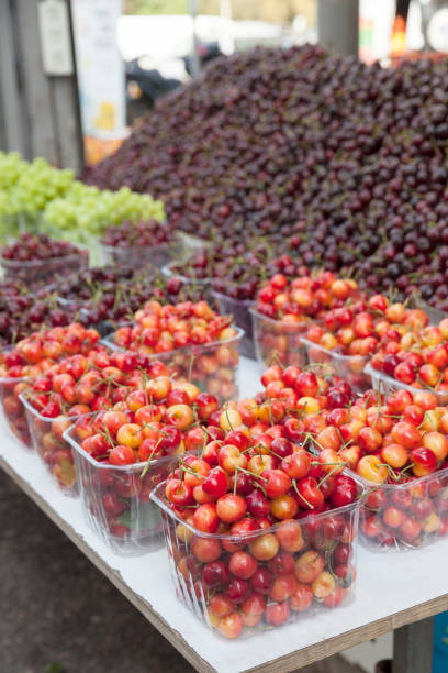 istock Rainier cherries at the market 1407700509