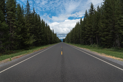 Landscape orientation of long empty road into horizon through the cascade mountain forests of central Oregon