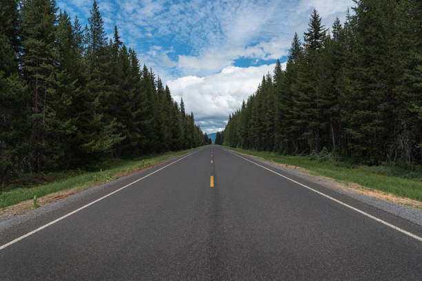 Long empty road through the mountain forest Landscape orientation of long empty road into horizon through the cascade mountain forests of central Oregon empty road with trees stock pictures, royalty-free photos & images