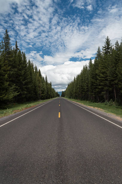 istock Long empty road into the mountain forest horizon 1407705446