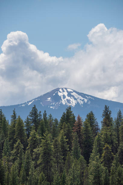 istock Mountain over trees under puffy white clouds and blue sky 1407706163