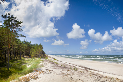 Vacations in Poland - summer recreation at the Baltic seashore in Osetnik near Leba resort in Pomorskie province